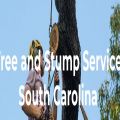 Tree and Stump Service SC