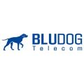 Bludog Telecom Inc.