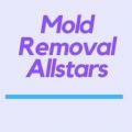 Mold Removal Allstars