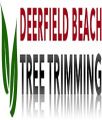 Tree Trimming Deerfield Beach