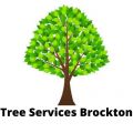 Tree Services Brockton