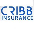 Cribb Insurance Group Inc.