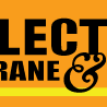 Electric Crane & Hoists Inc