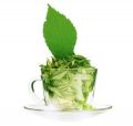 Enzo Matcha Green Tea