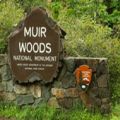 Muir Woods Express Tours