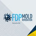 FDP Mold Remediation- Rockville