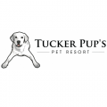 Tucker Pup