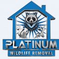 Platinum Squirrel Removal