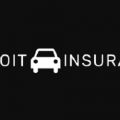 Best Detroit Auto Insurance