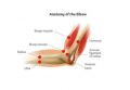 Elbow Pain Treatment in NYC