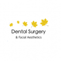 The Dental Surgery