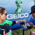 Geico Insurance