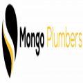 Mongo Plumbers