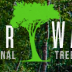 Clearwater Tree Service Pros