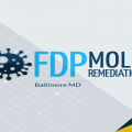 FDP Mold Remediation of Baltimore