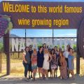Napa Wine Tasting Tours