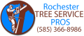 Rochester Tree Service Pros