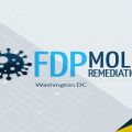 FDP Mold Remediation of DC