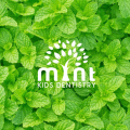 Mint Kids Dentistry