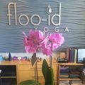 Floo-id Yoga