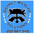 District Wildlife Solutions