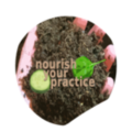 Nourish Your Practice - Functional Medicine Marketing
