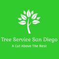 Tree Service San Diego