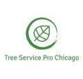 Tree Service Pro Chicago