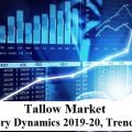 Health Benefits from Beef Tallow is Expanding the Global Tallow Market
