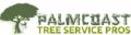 Palm Coast Tree Service Pros