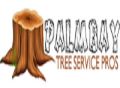Palm Bay Tree Service Pros