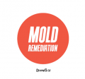 Greenville Mold Pros Mold Remediation Greenville SC