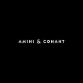 Amini & Conant, LLP