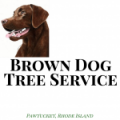 Brown Dog Tree Service Pawtucket