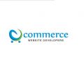 Ecommerce Website Developers