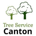 Tree Service Canton