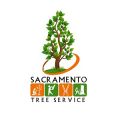 Sacramento Tree Service