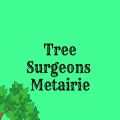 Tree Surgeons of Metairie