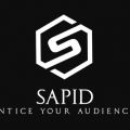 Sapid Agency New York Seo Expert