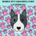 Mobile Pet Grooming Fort Lauderdale
