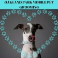 Oakland Park Mobile Pet Grooming