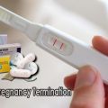 How To Get Rid Of Gestation During The Initial Trimester?
