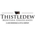 Thistledew Land & Cattle