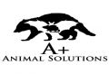 A+ Animal Solutions
