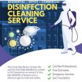 Fog Control Disinfection Service