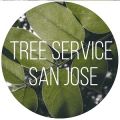 Tree Service San Jose