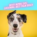 Woof Mobile Dog Grooming West Palm Beach