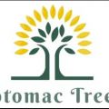 North Potomac Tree Service