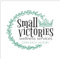 Small Victories Wellness Services, PLLC