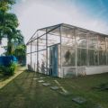 Exploring the Benefits of Backyard Shed Greenhouse Kits
